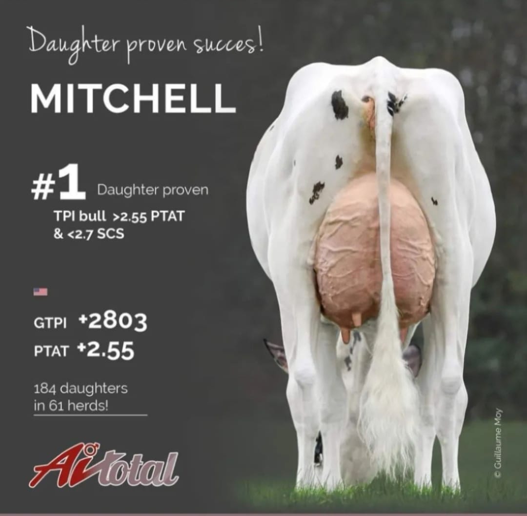 AURORA MITCHELL — 515HO00318